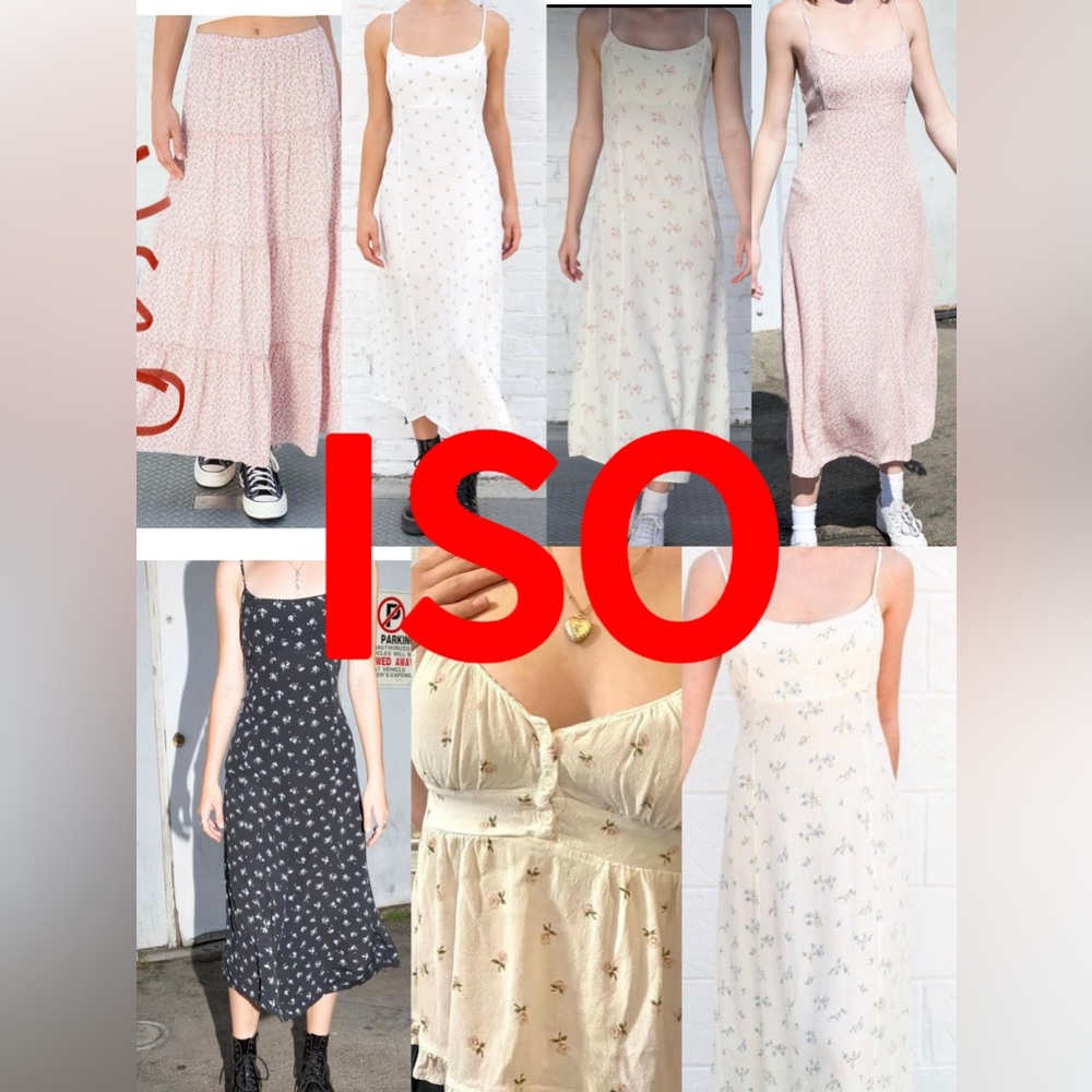 Brandy Melville dress ISO